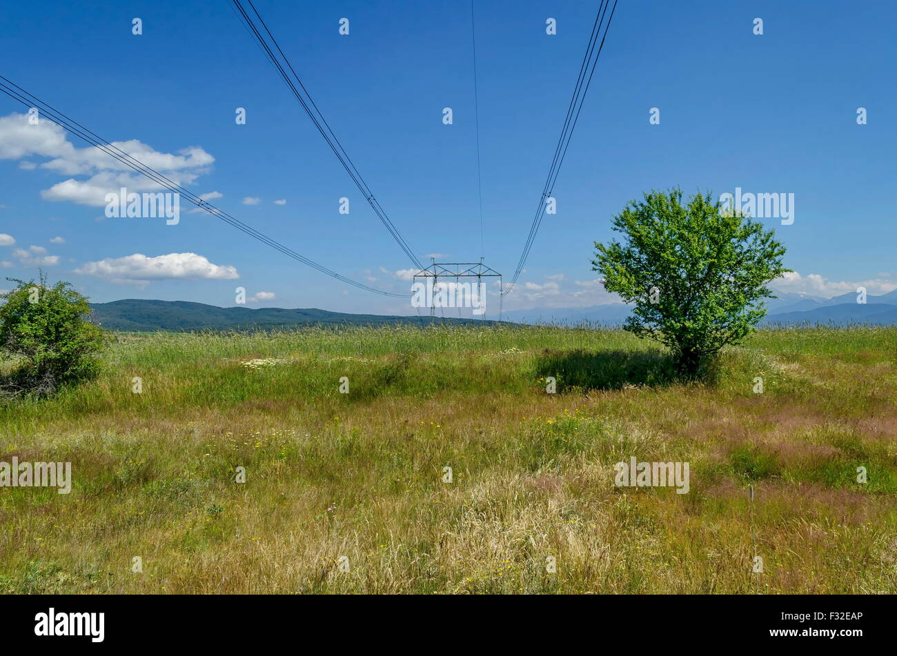 Electric power transmission line, Plana mountain, Bulgaria Stock Photo