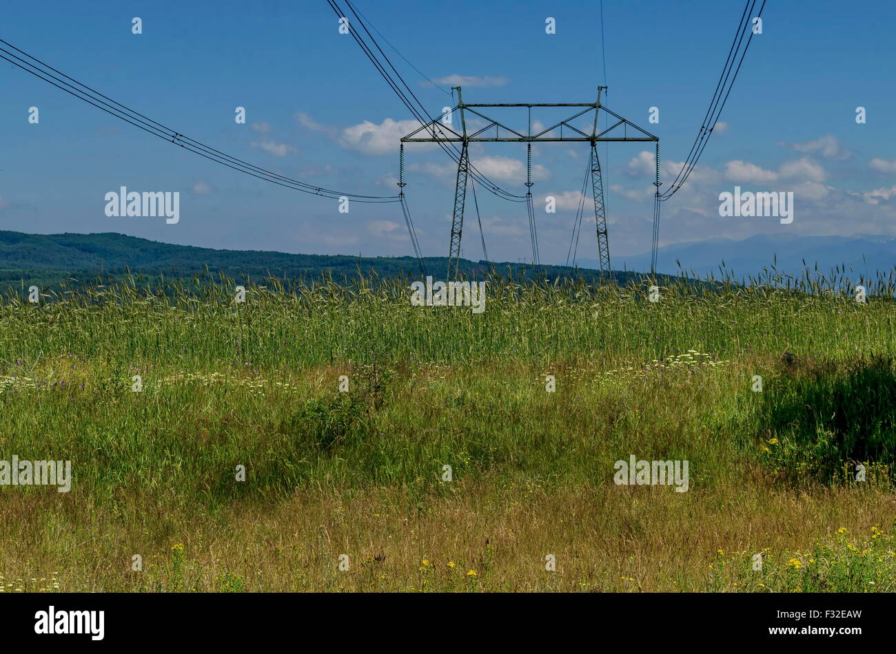 Electric power transmission line, Plana mountain, Bulgaria Stock Photo