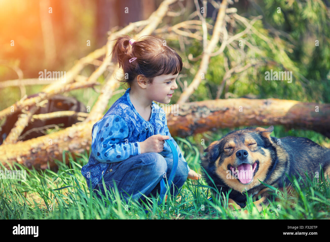 Little girl with dog in the forest Stock Photo - Alamy