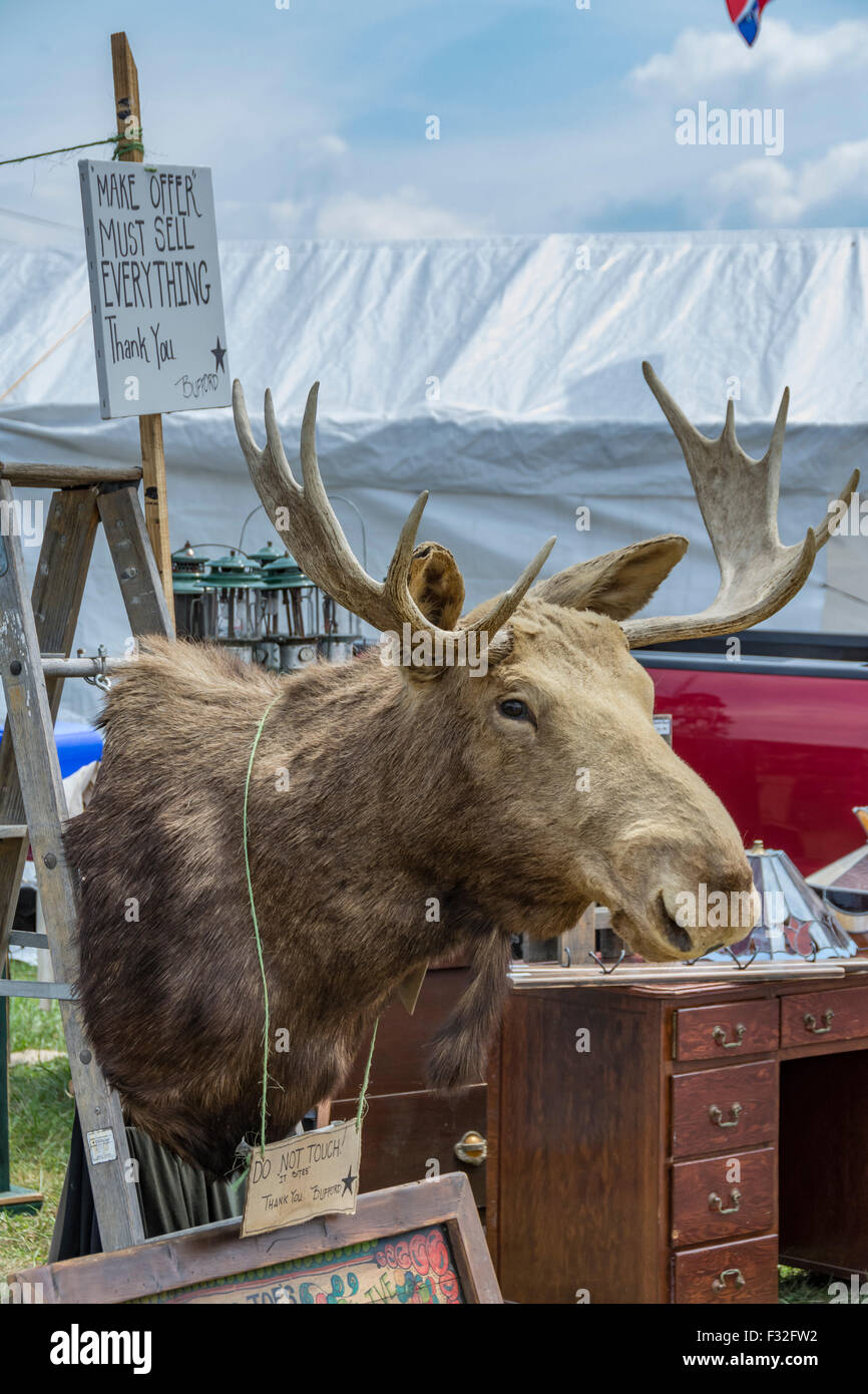 stuffed moose head for sale