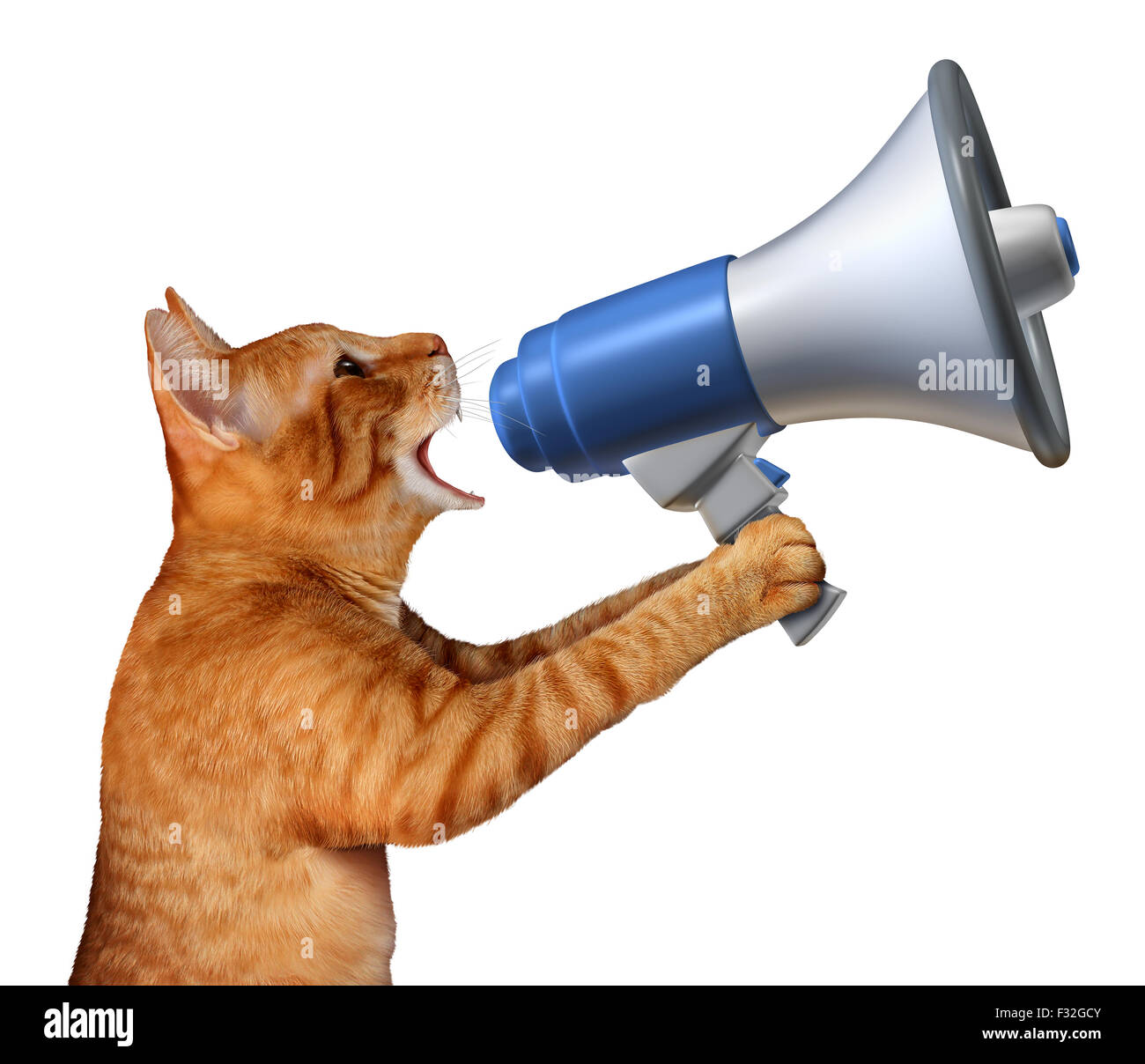Cat announcement concept as a generic feline holding a bullhorn or megaphone to announce news or promote pet and veterinary issues or animal marketing and promotion isolated on a white background. Stock Photo