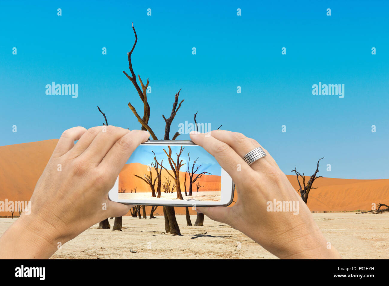 Female photographer with smartphone takes a picture of the gnarled trees of the dead vlei salt lake in Sossuvlei Namibia. Stock Photo