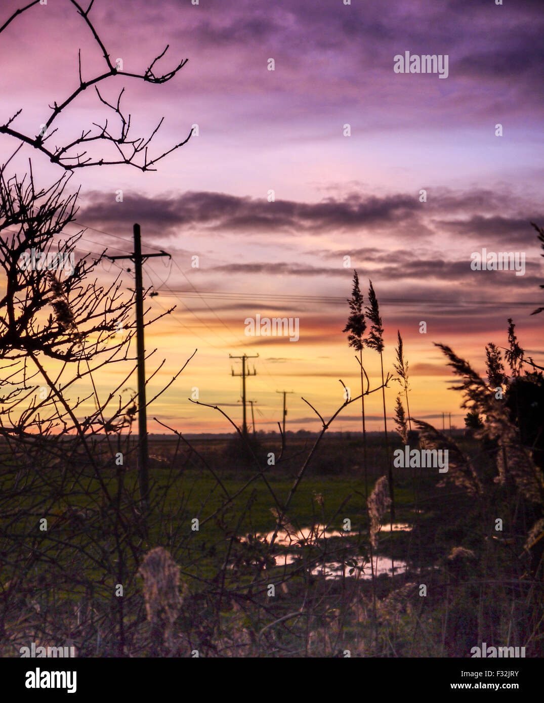 Reydon hires stock photography and images Alamy