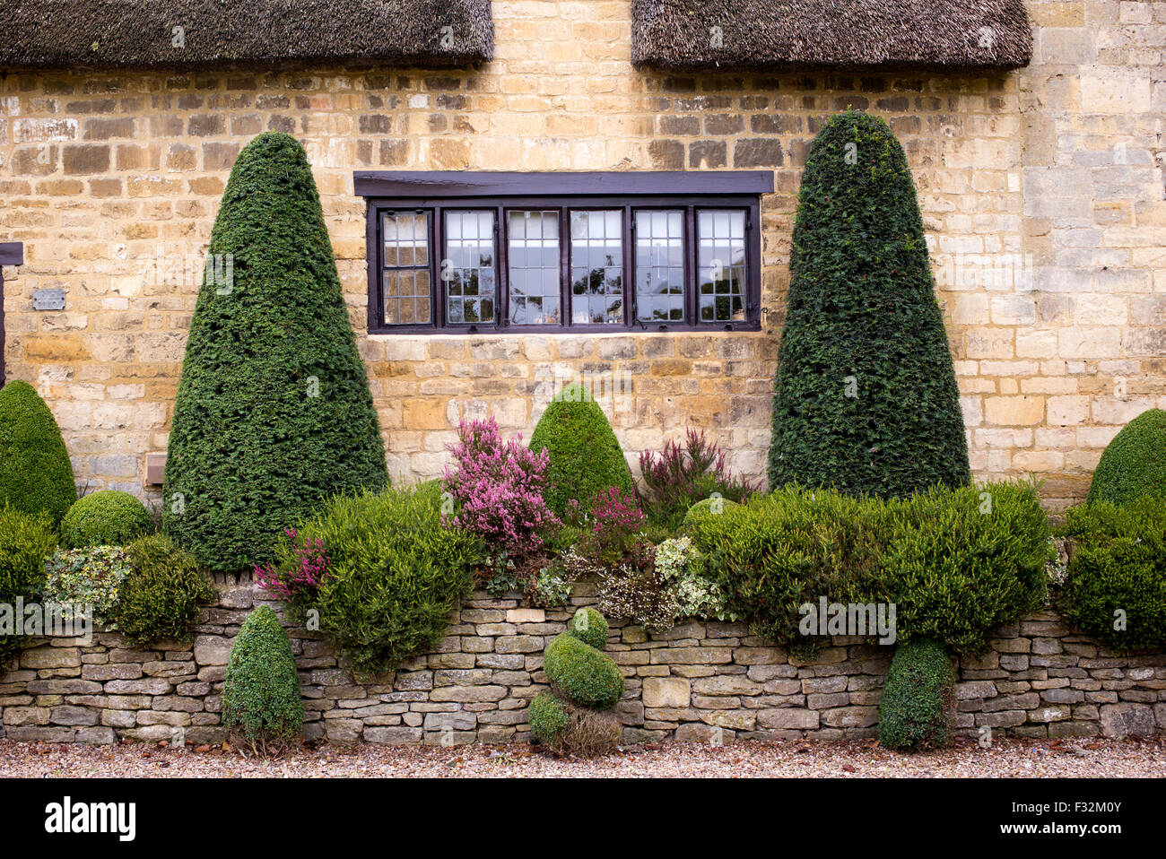 Box topiary plants outside a Cotswold cottage wall, Broad Campden, Gloucestershire, Cotswolds, England Stock Photo