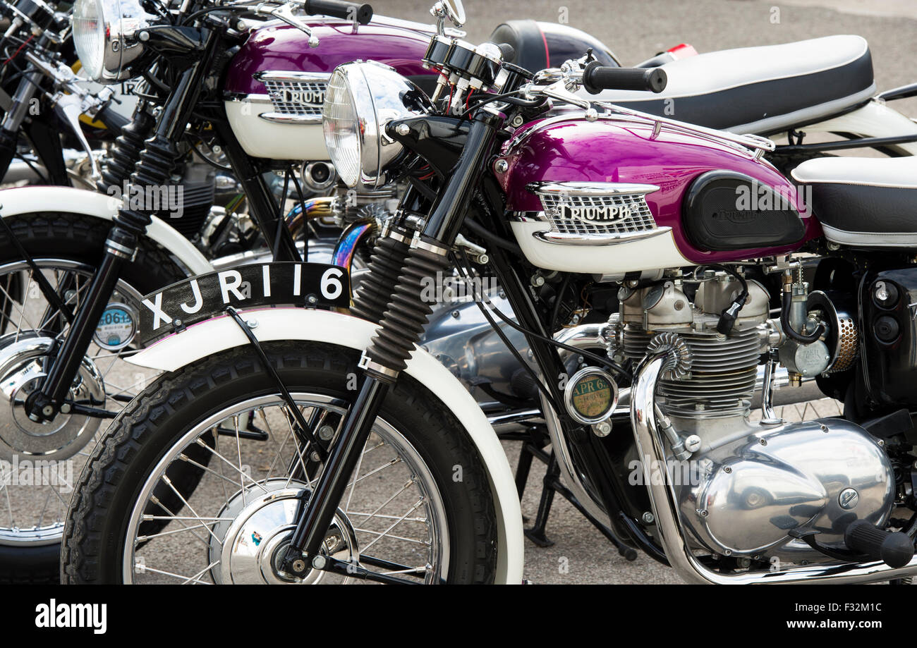 1963 Triumph Tiger 90 350cc motorcycle. Classic british motorcycle Stock Photo