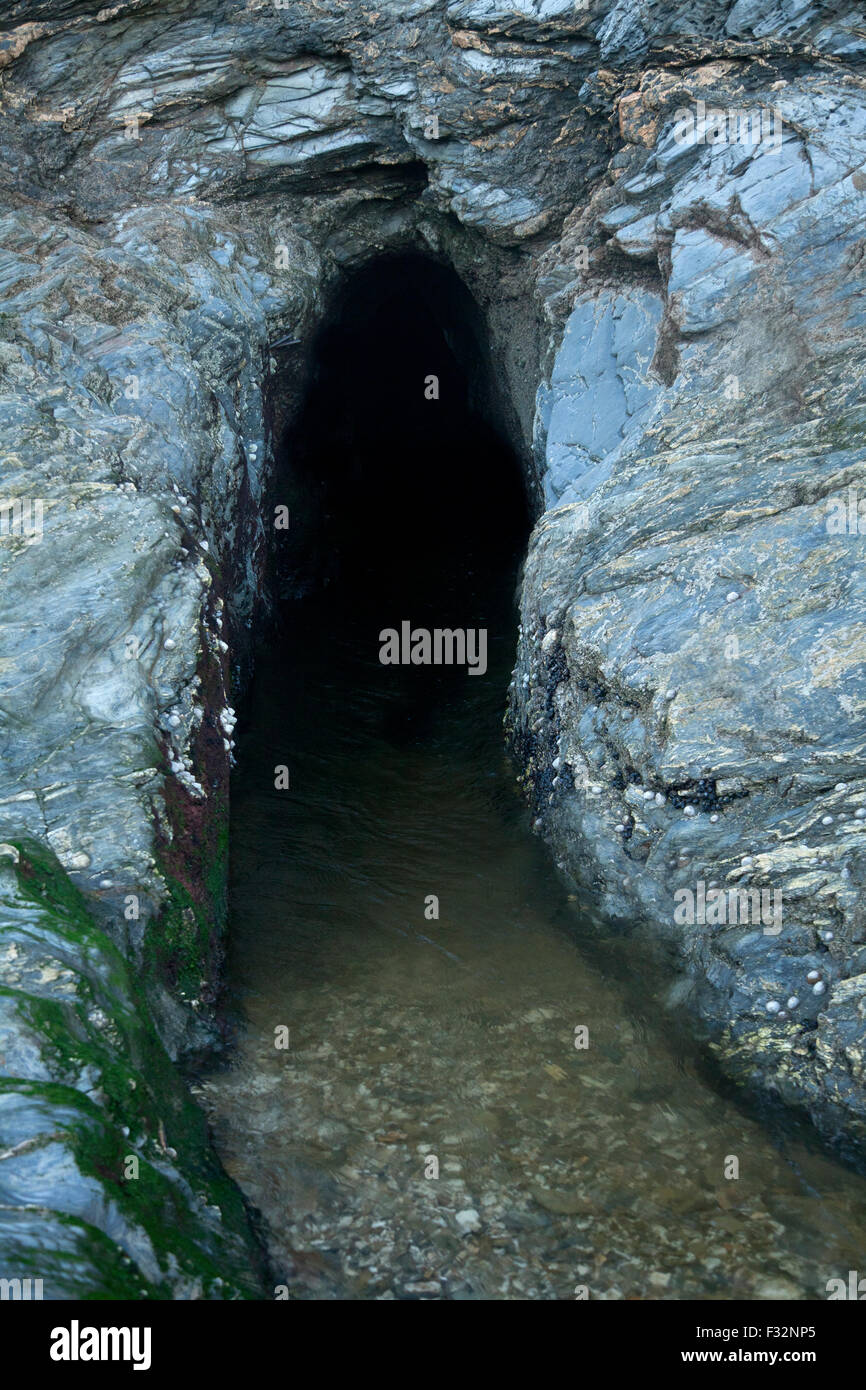 Coast cave cornwall hires stock photography and images Alamy