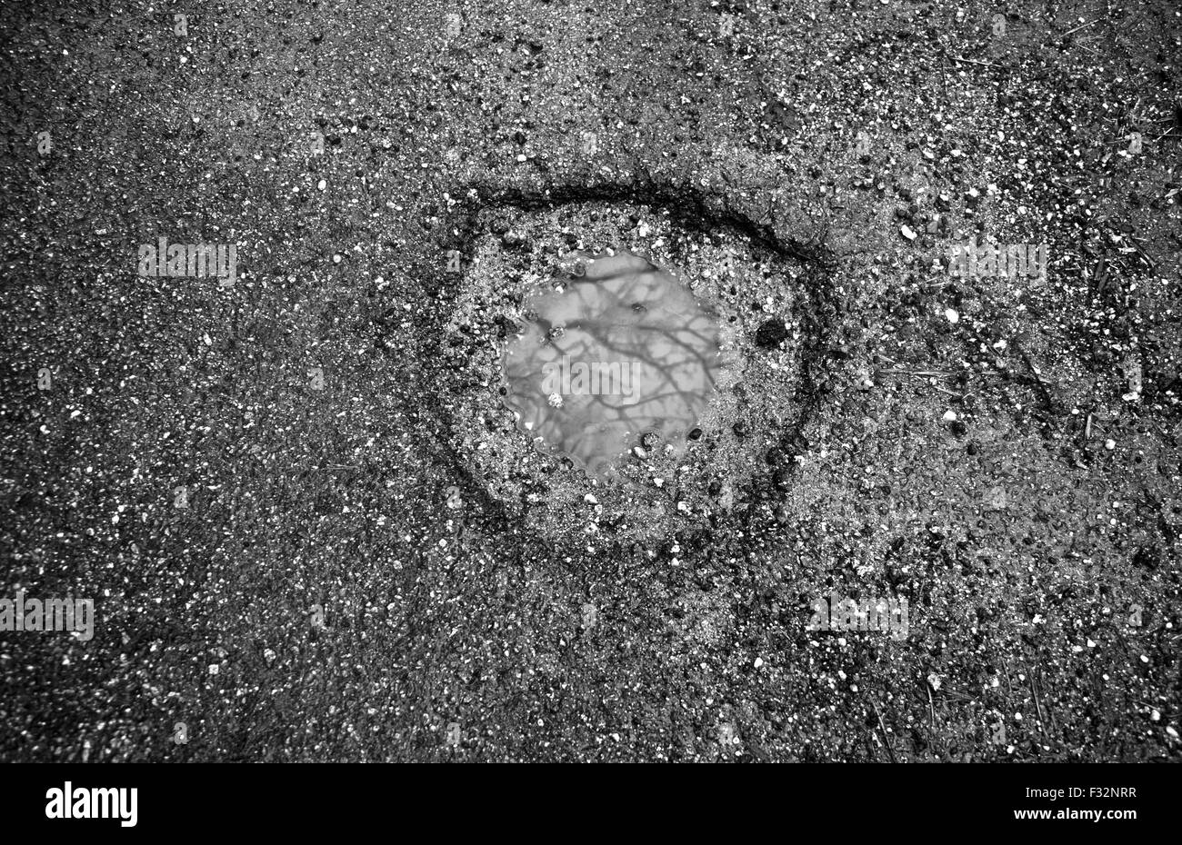 Pothole in the road full of rain water, black and white. Stock Photo