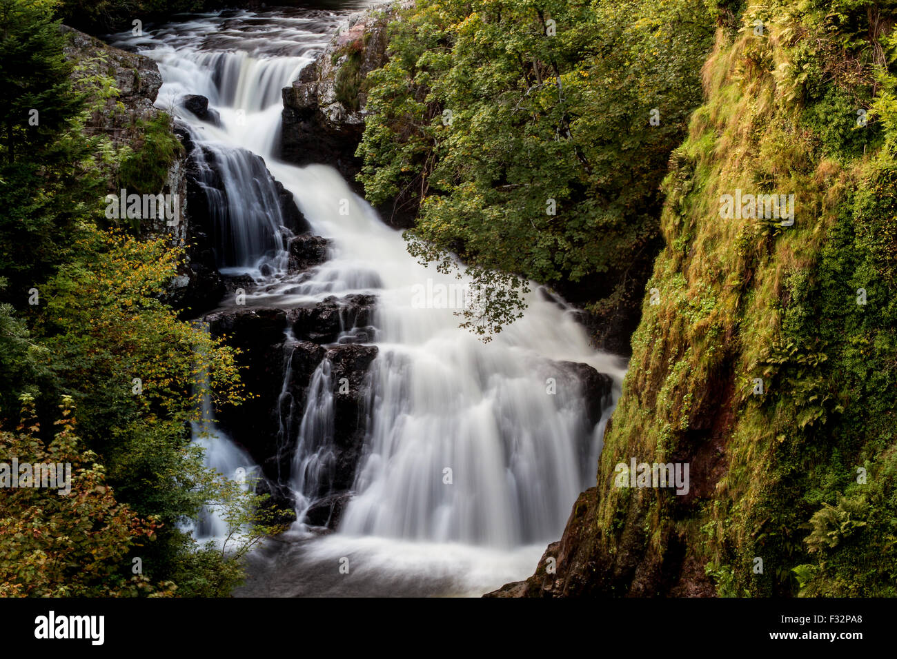 Reekie Linn, Glen Isla, Angus, Scotland, UK, 28th September 2015. UK Weather: Autumn afternoon at Reekie Linn Waterfall In Glen Isla west of the Angus Glens. The beautiful scenery of Autumnal colours on trees at the misty Linn Falls in Glen Isla, Angus County. © Dundee Photographics / Alamy Live News. Stock Photo