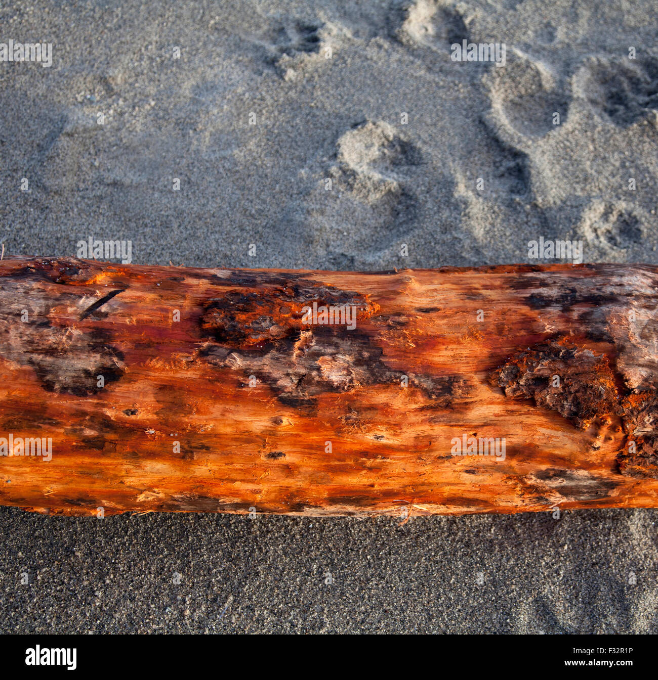 Driftwood Stock Photo Alamy