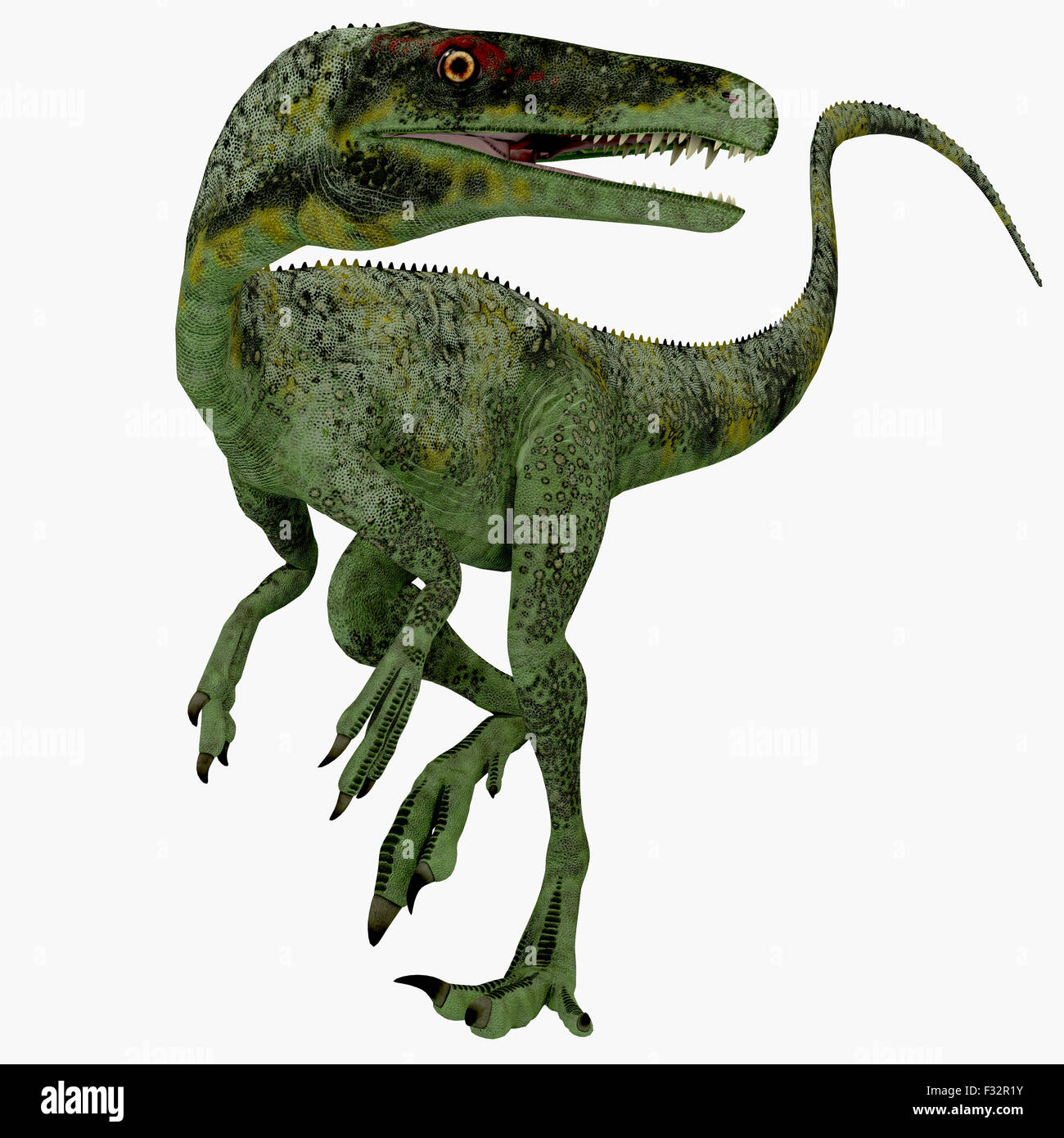Juravenator was a small carnivorous dinosaur that lived in Germany during the Jurassic Period. Stock Photo