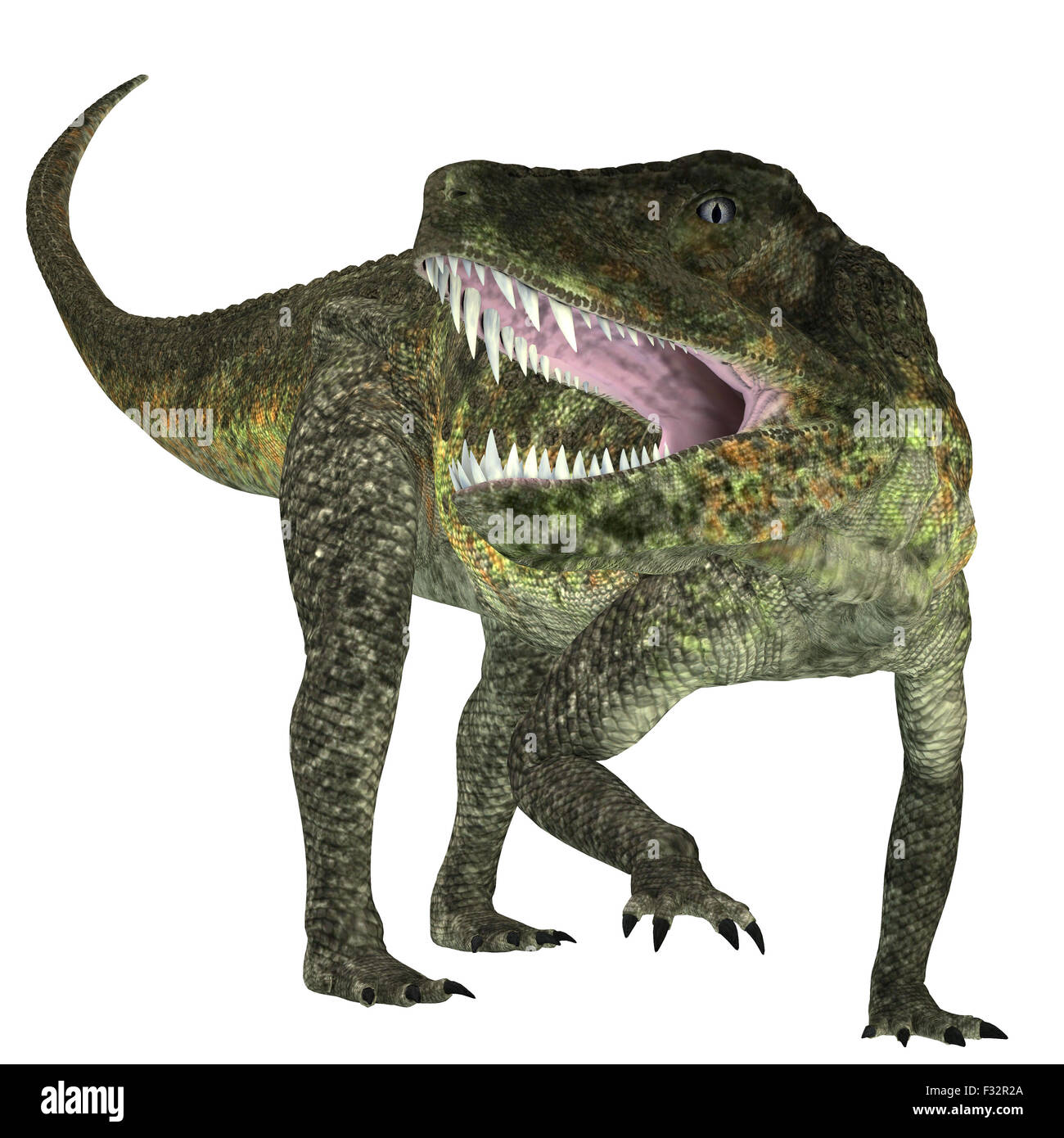 Postosuchus was a cousin of crocodiles and lived as a carnivore in North America during the Triassic Era. Stock Photo