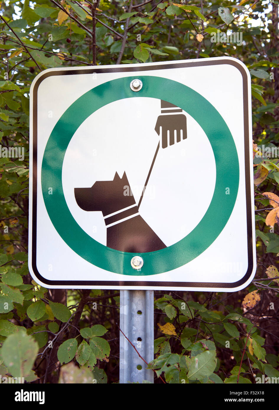 Keep dogs on a leash sign, Canada Stock Photo Alamy