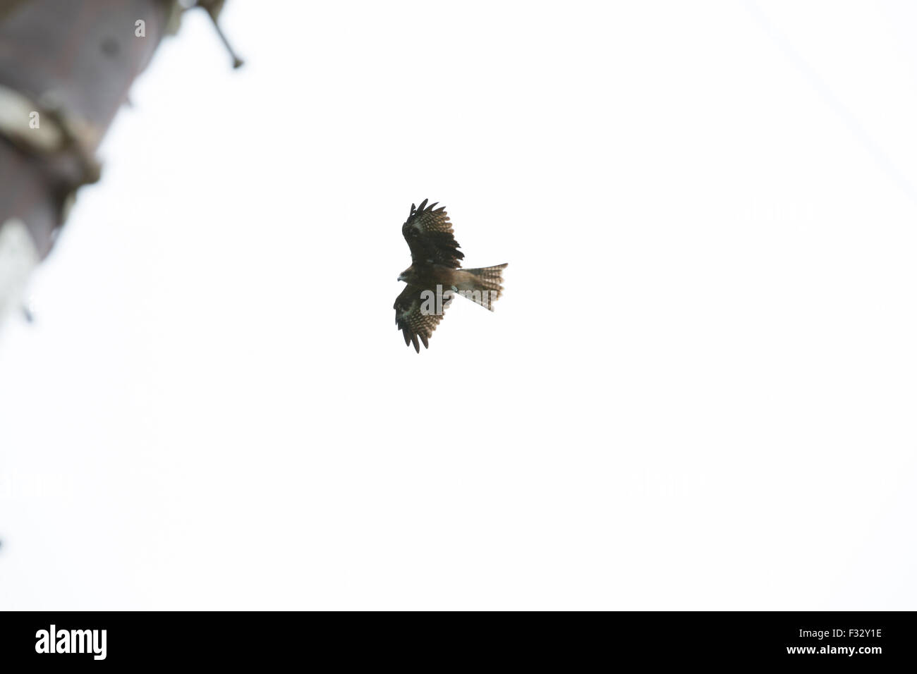 Japanese cities, people and landscapes Stock Photo Alamy