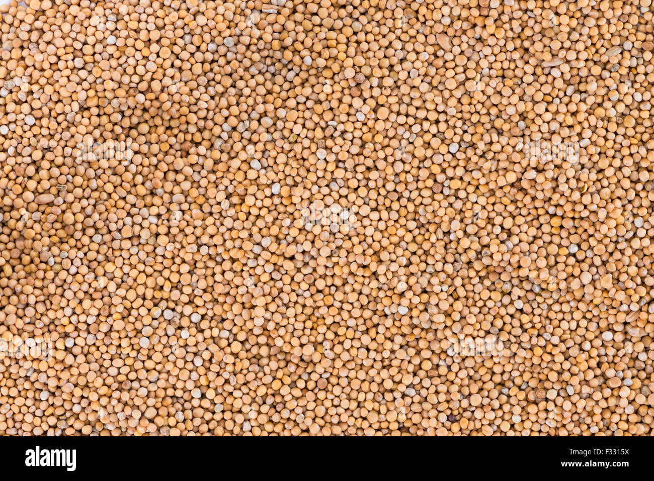 Portion of Mustard Seeds for background or texture use Stock Photo Alamy