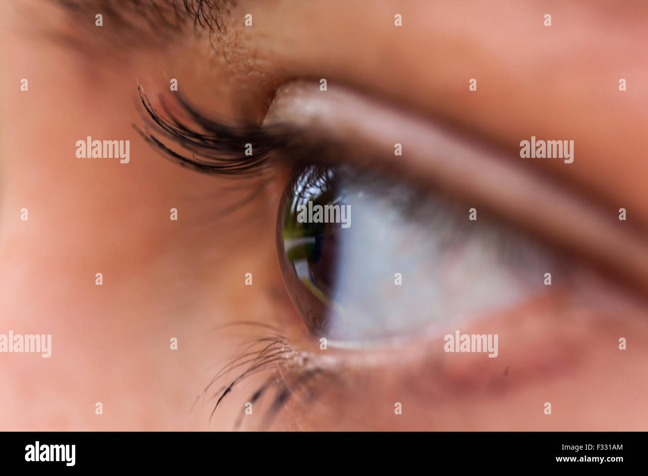 Human eye close up Stock Photo