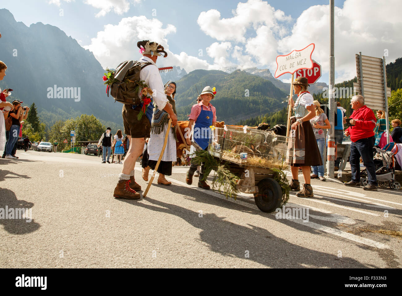 Se Desmonteghea a great party in Falcade for the livestock returning from the highland pastures in the Dolomites Stock Photo