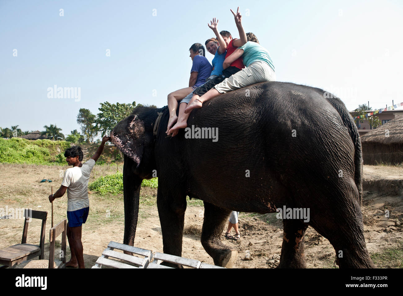 Elephant back ride hi-res stock photography and images - Alamy