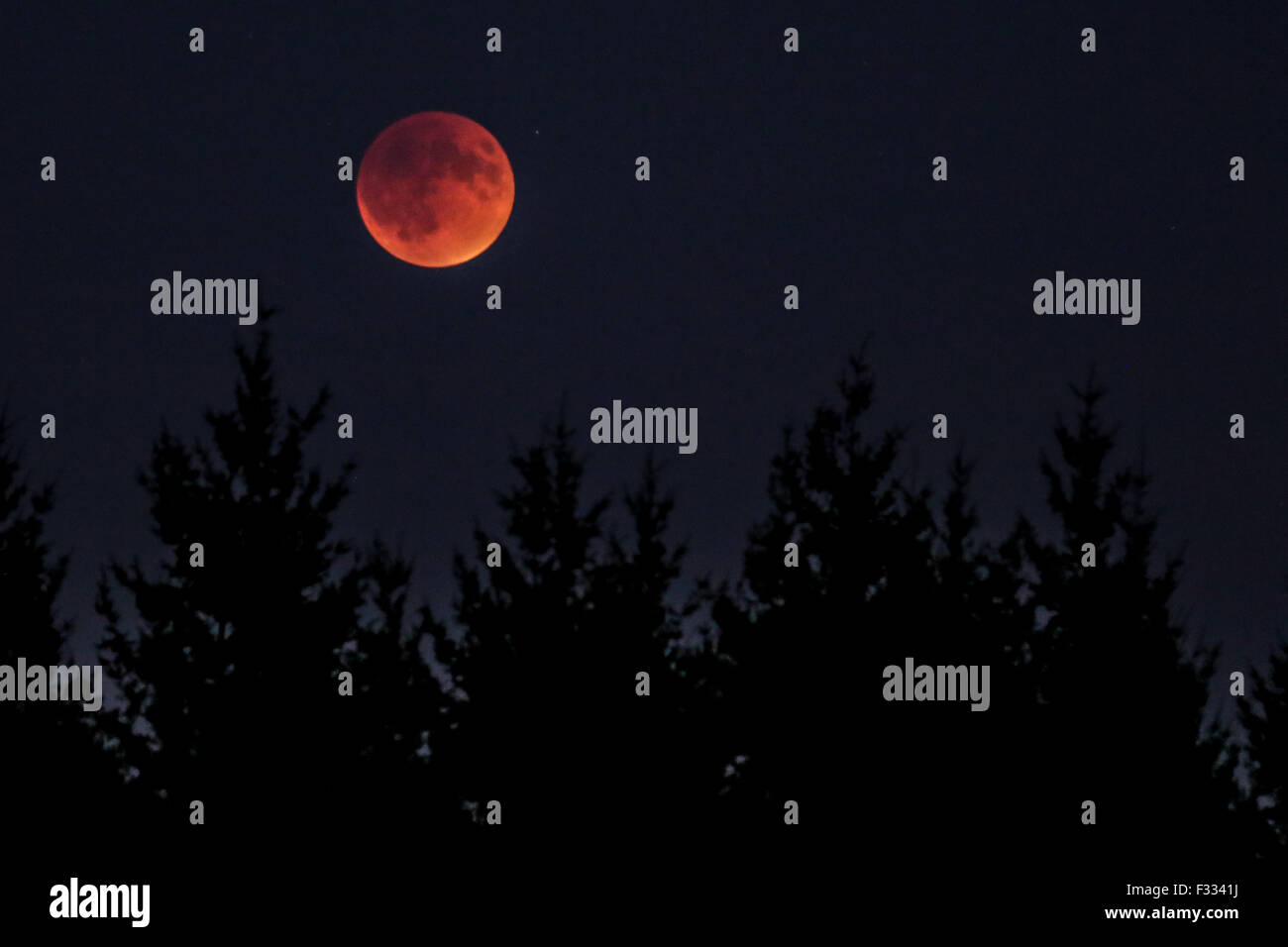 Super blood moon eclipse hi-res stock photography and images - Alamy