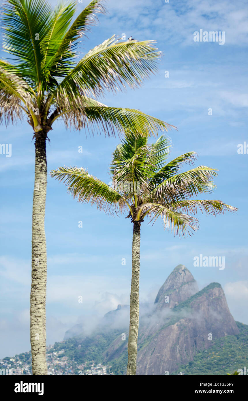Ipanema Beach in Rio de Janeiro, Brazil with palm trees in front of Two ...