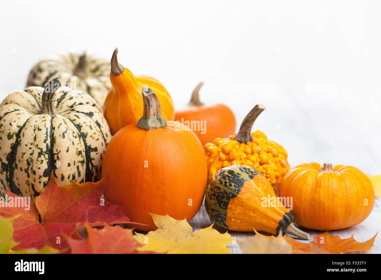Decorative fresh pumpkins autumn hi-res stock photography and images ...