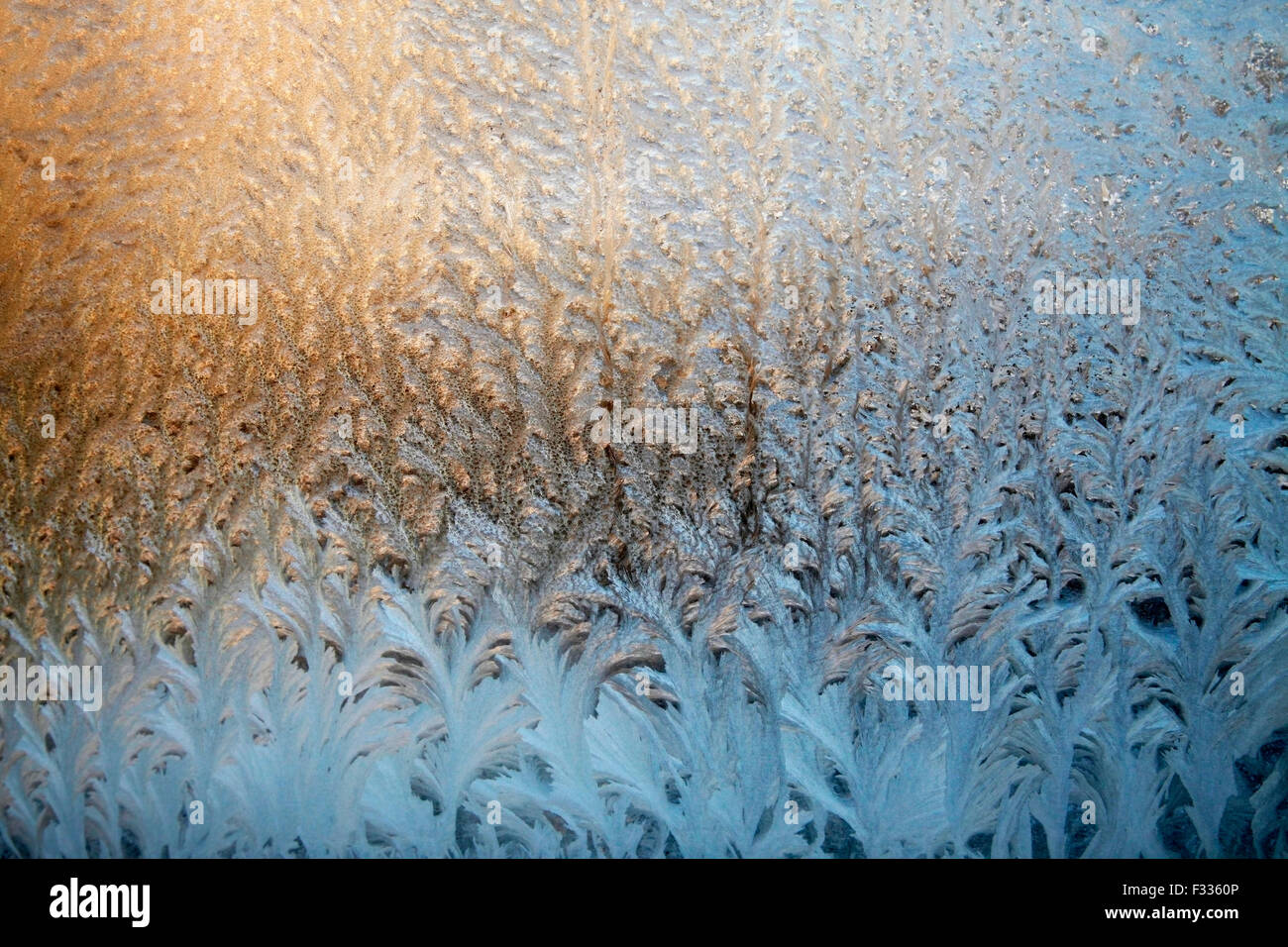 Frosty natural pattern on winter window Stock Photo - Alamy