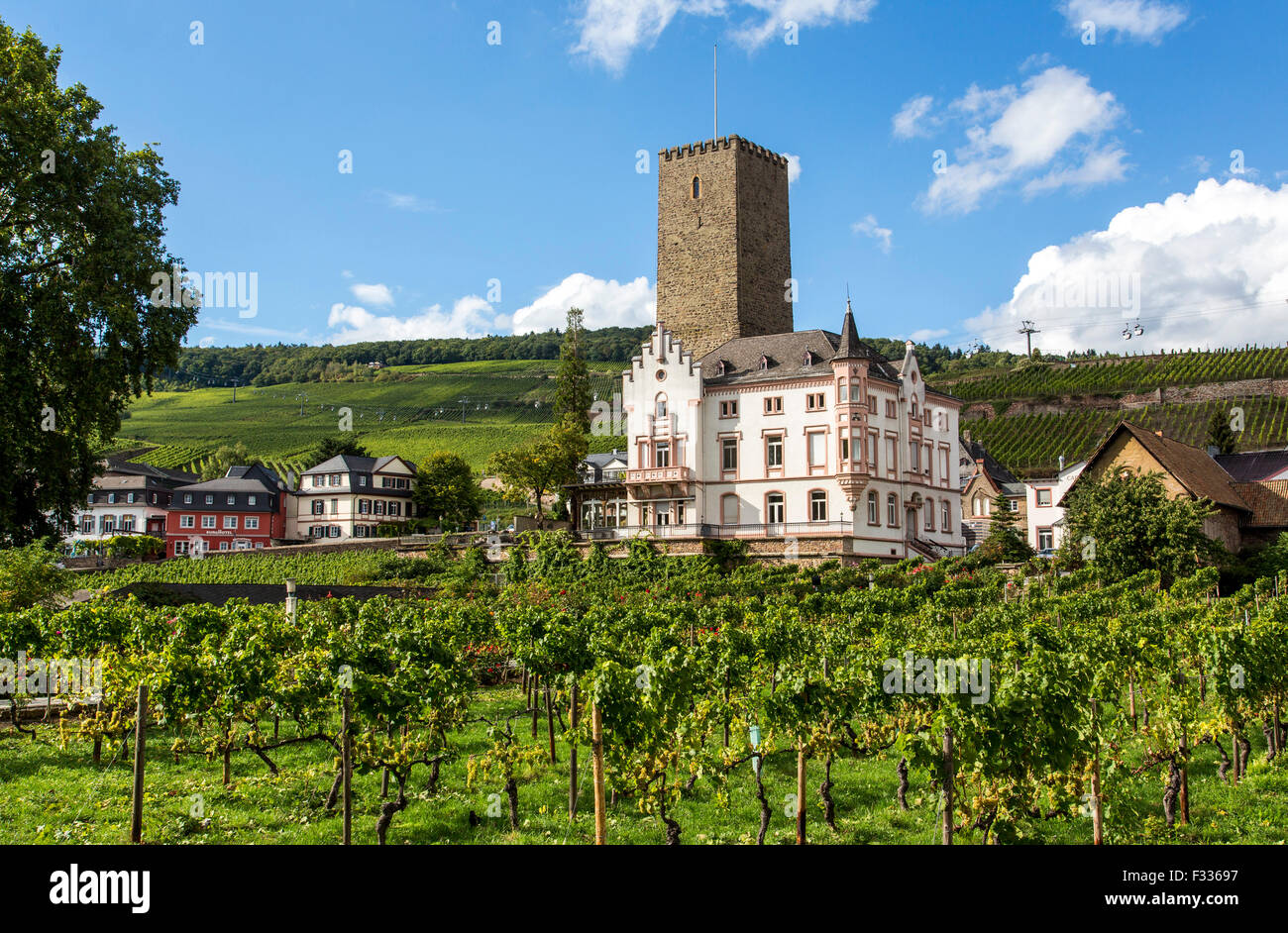 Rüdesheim, favorite tourist destination in the Upper middle Rhine ...