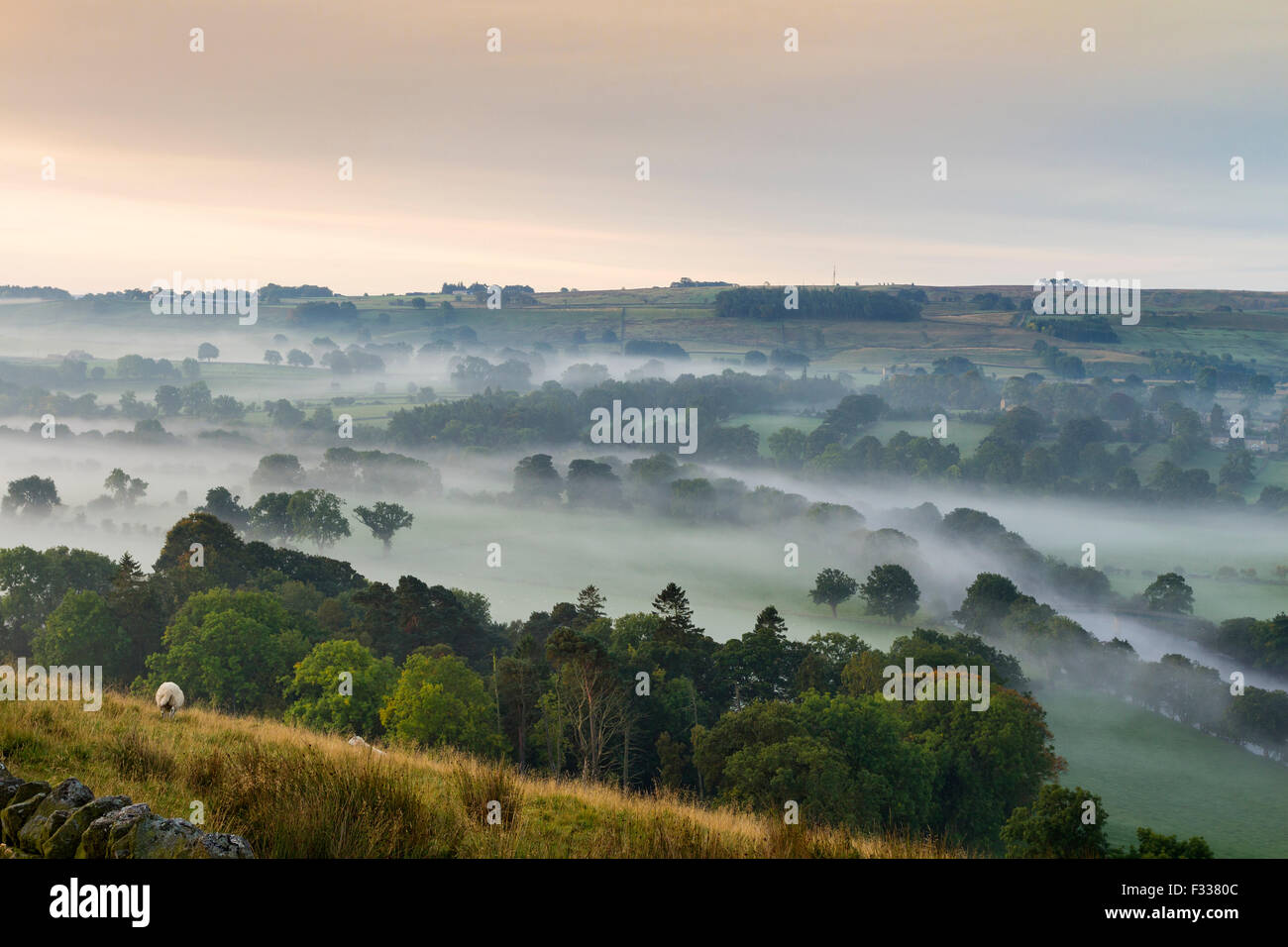 B6282 Road at Whistle Crag, Middleton-in-Teesdale, County Durham. Tuesday 29th September 2015, UK Weather. It was a chilly and misty start to the day for Northern England and with visibility falling to less than 100 metres in places the Met Office have issued a yellow weather warning for fog. Credit:  David Forster/Alamy Live News Stock Photo