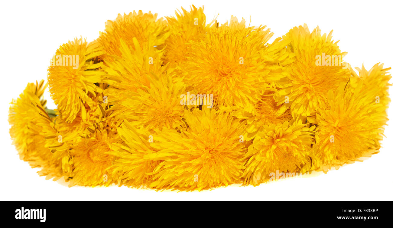 Background from dandelion Stock Photo - Alamy
