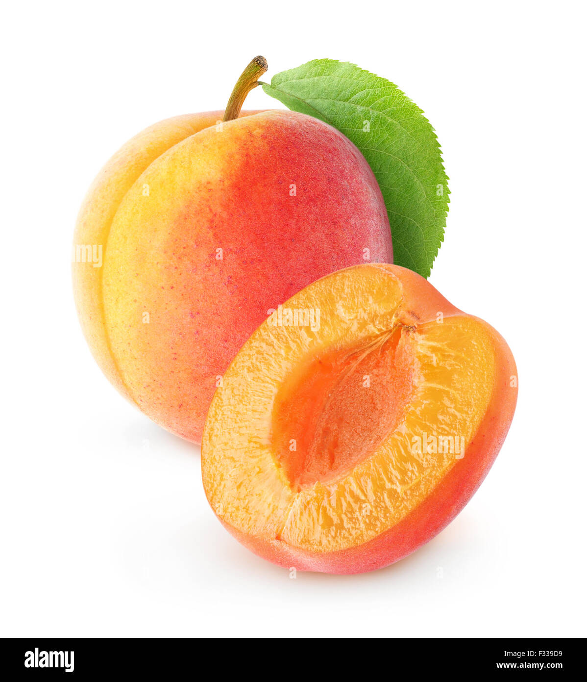apricotページ Plainpistachiolightgreencreamf