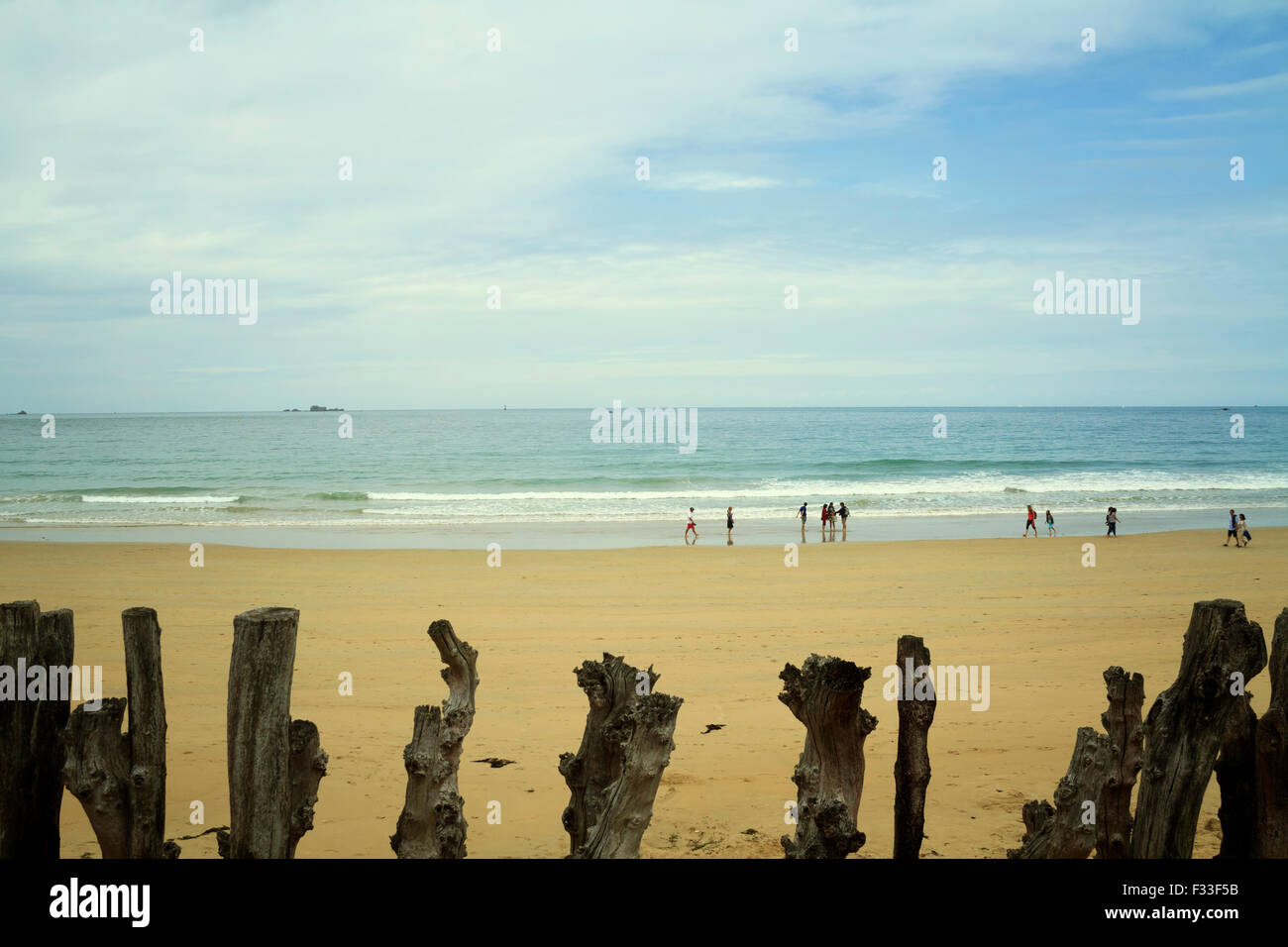 Barrier of wooden posts on a beach, Saint Malo, Brittany, France, Europe. Stock Photo