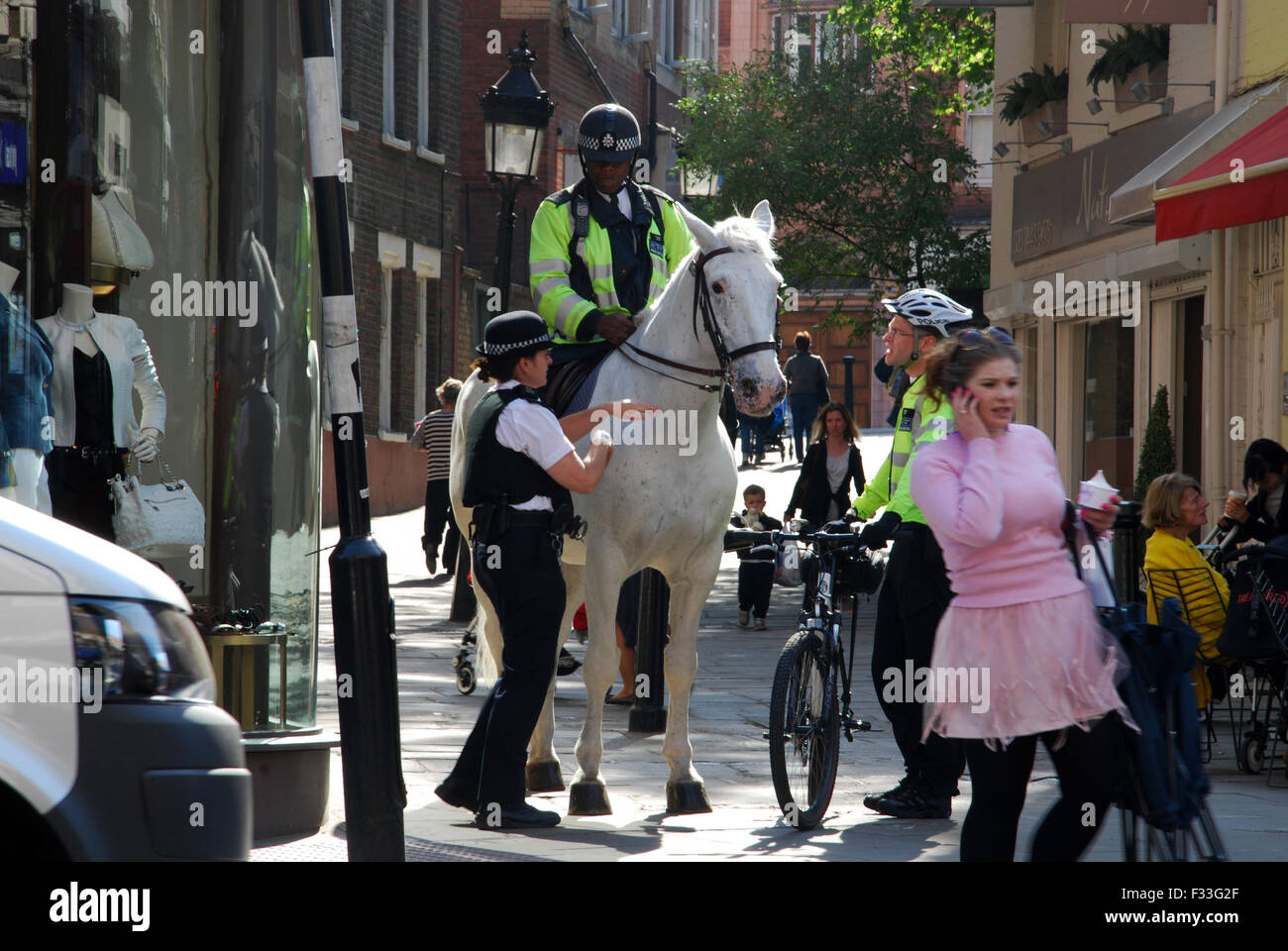 equestrian police force Hampstead London UK Stock Photo Alamy
