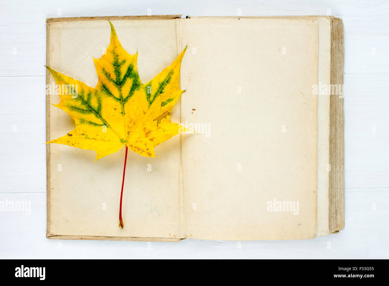 Old open book and autumnal maple leaf Stock Photo