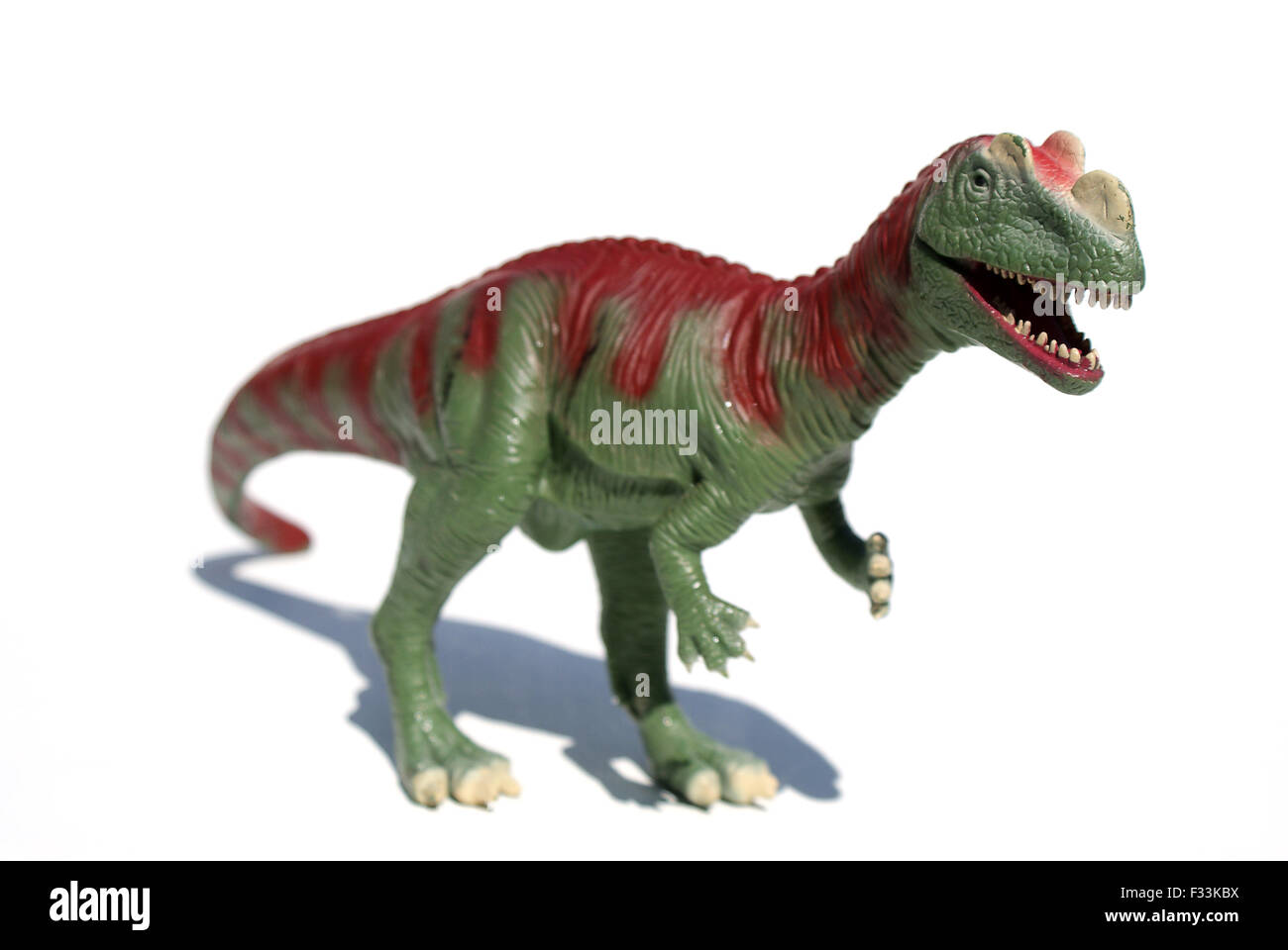 Model of tyrranosauros rex Stock Photo