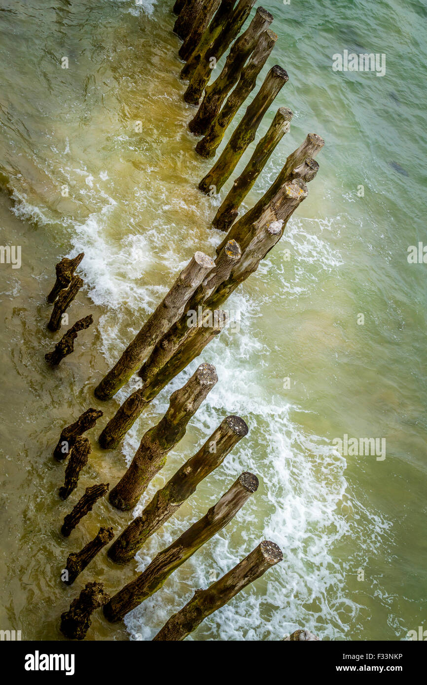 Barrier of wooden posts on a beach, Saint Malo, France, Europe. Stock Photo