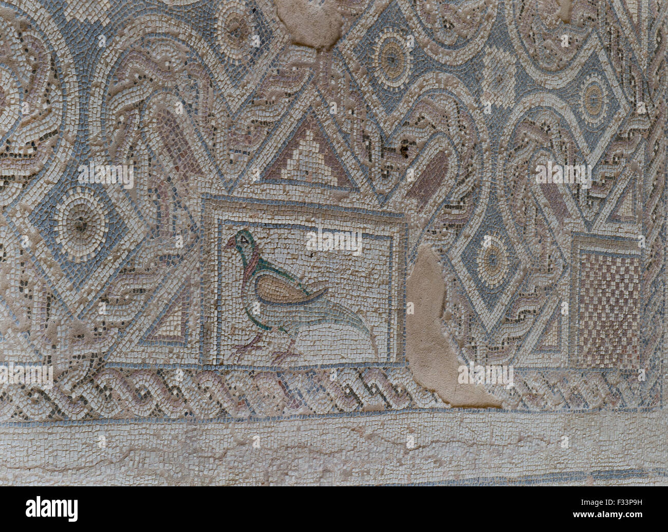 Early Christian mosaic depicting a bird possibly Ring-necked Parakeet ‘ The mosaics at Eustolios complex in Kourion, Cyprus date Stock Photo