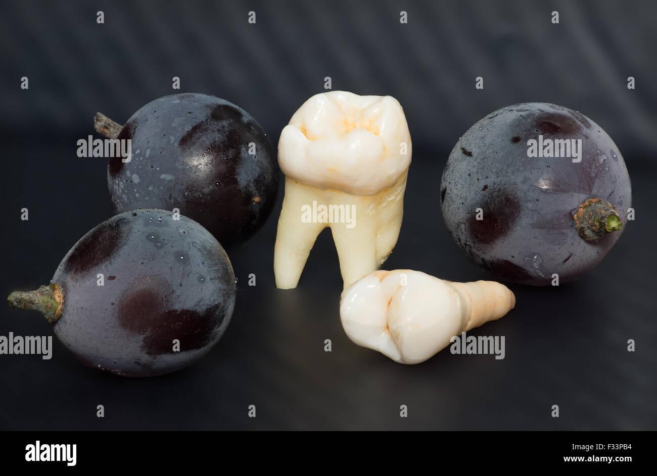 the large photo of two white teeth on a black background Stock Photo