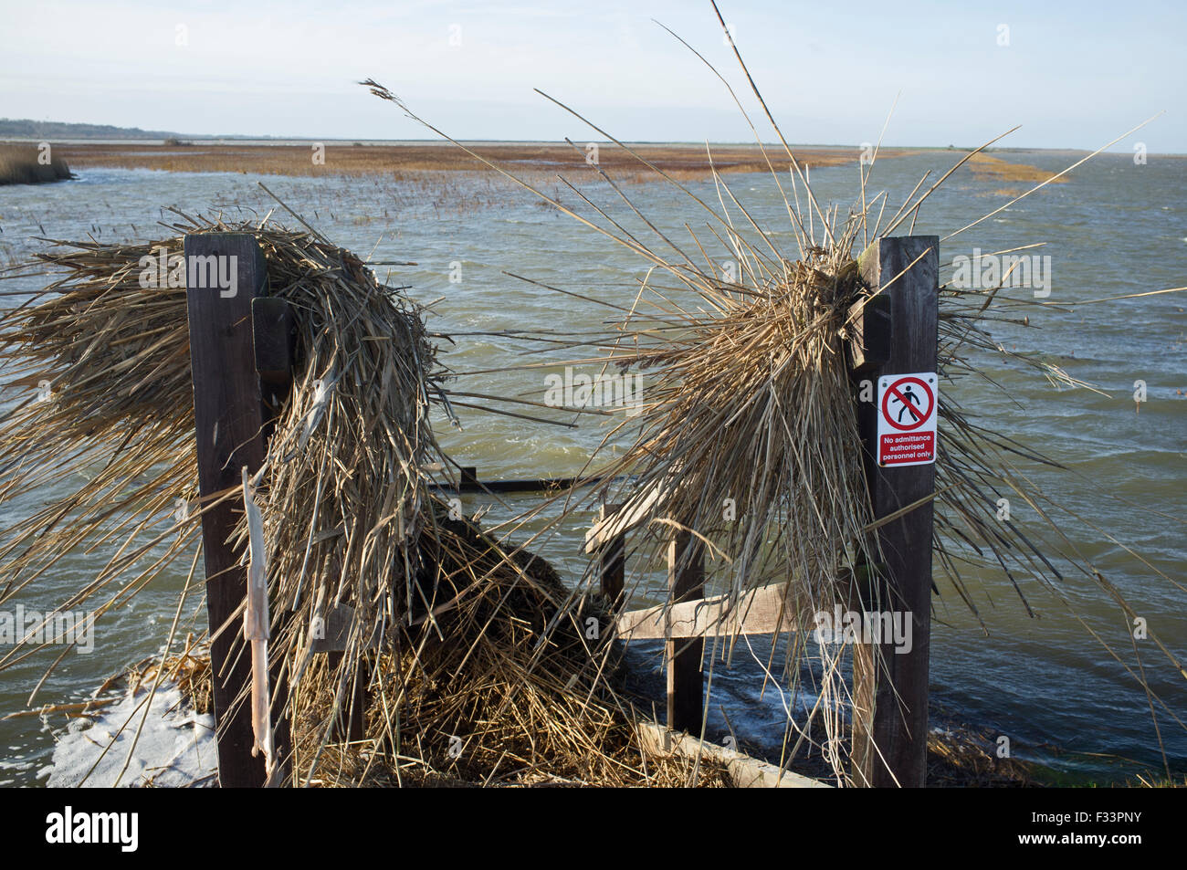Cley Marshes flooded after storm surge of night of 5 December 2013 Norfolk Stock Photo