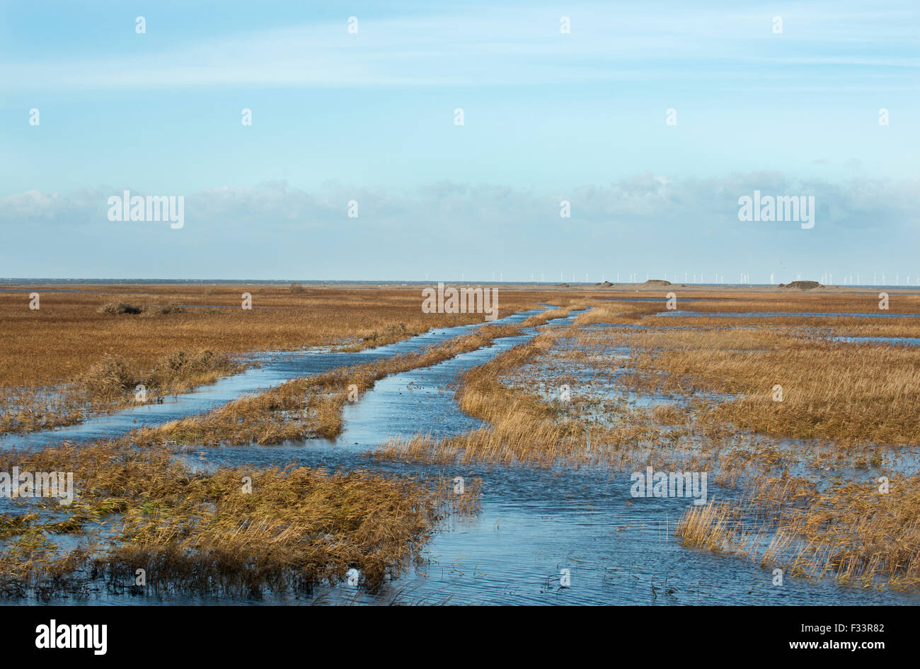 Cley Marshes flooded after storm surge of night of 5 December 2013 Norfolk, view along East Bank Stock Photo