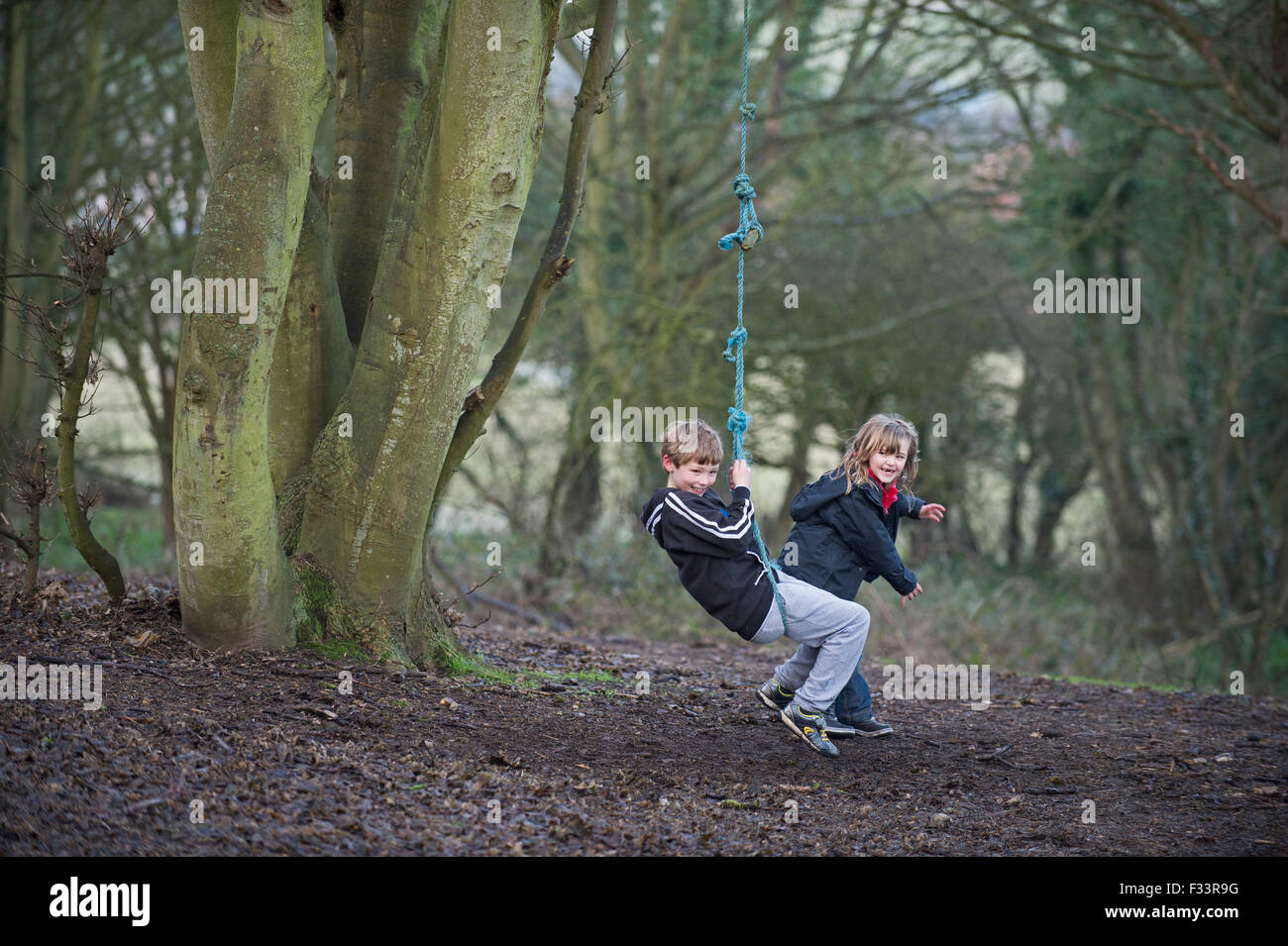 Children playing on a rope swing in forest Norfolk UK Stock Photo