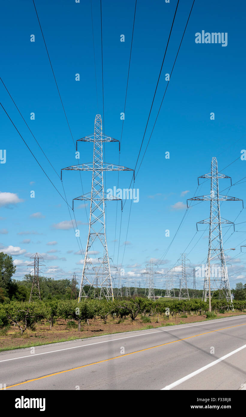 Hydro towers in an orchard in the Niagara district of Ontario Canada