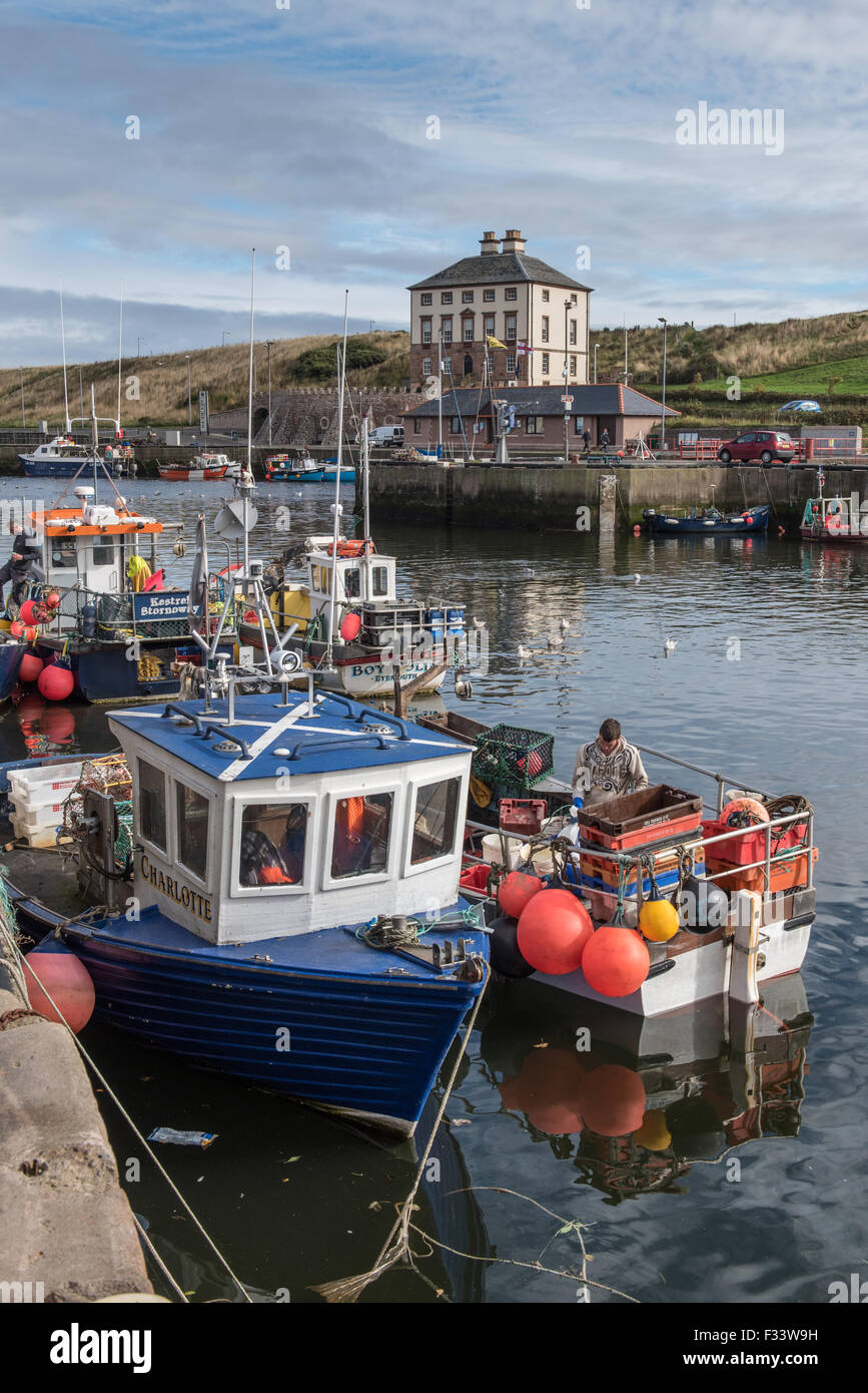 The harbour at Eyemouth Berwickshire in Scotland Stock Photo Alamy