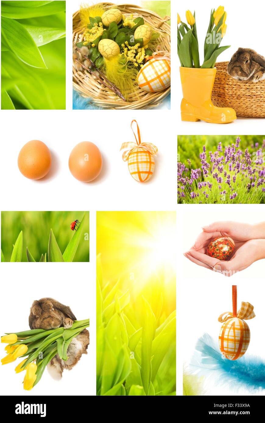 Decorative easter egg ladybug hi-res stock photography and images - Alamy