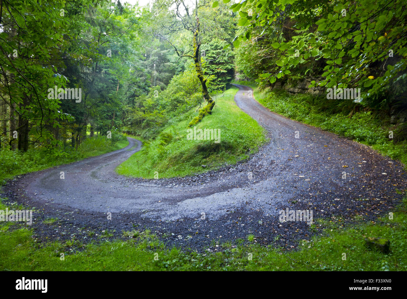 Hair Pin Bend Country Mountain Forest Road Hairpin Stock Photo
