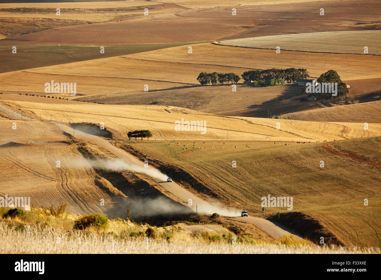 rolling farmland in the Overberg region near Villiersdorp, Western Cape