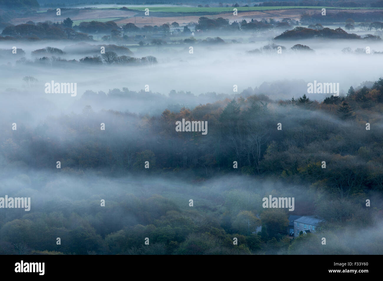 the Isle of Purbeck near Corfe Castle in the mist at dawn, Dorset, England, UK Stock Photo