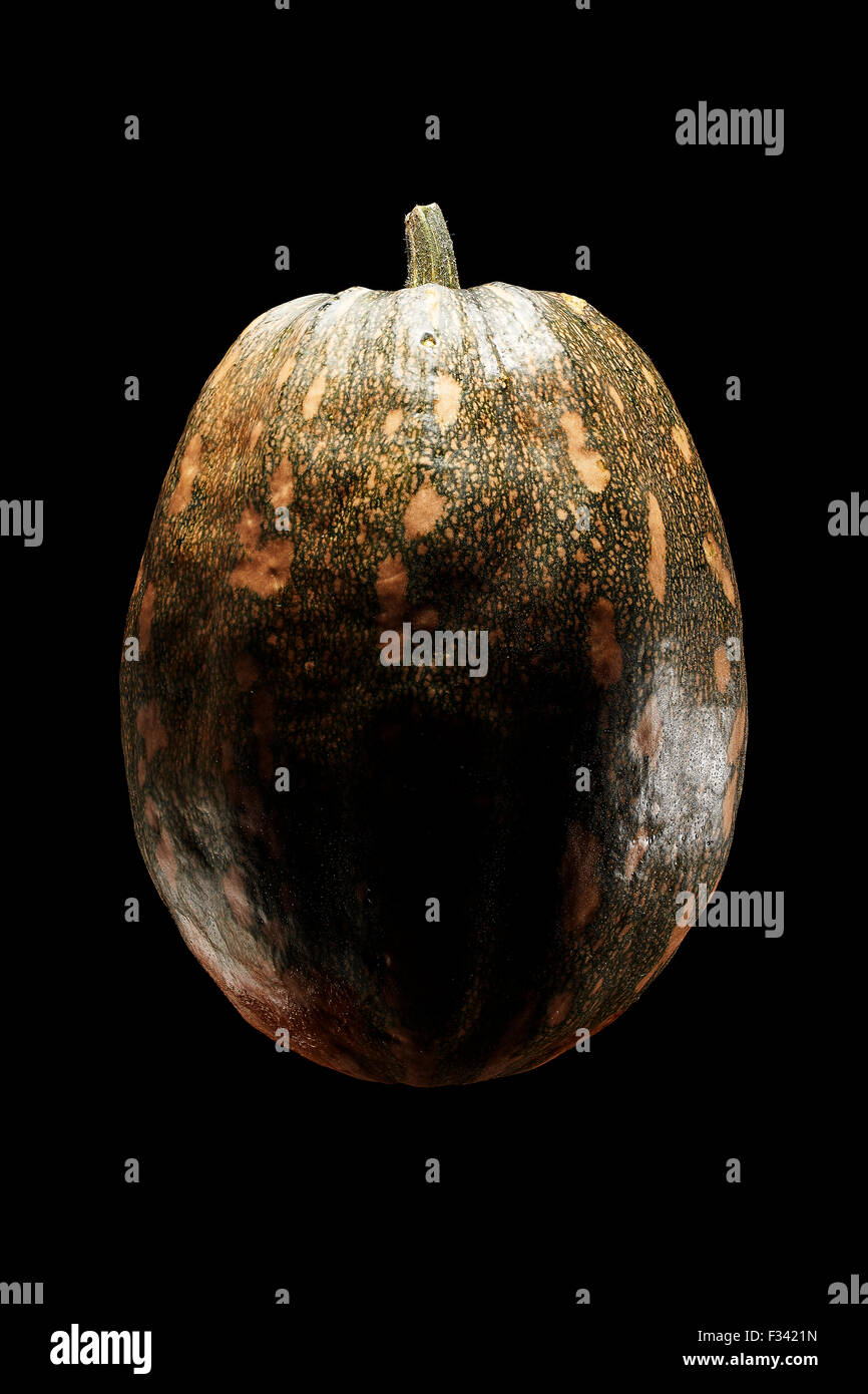 isolated flesh Pumpkin on pure black background Stock Photo - Alamy
