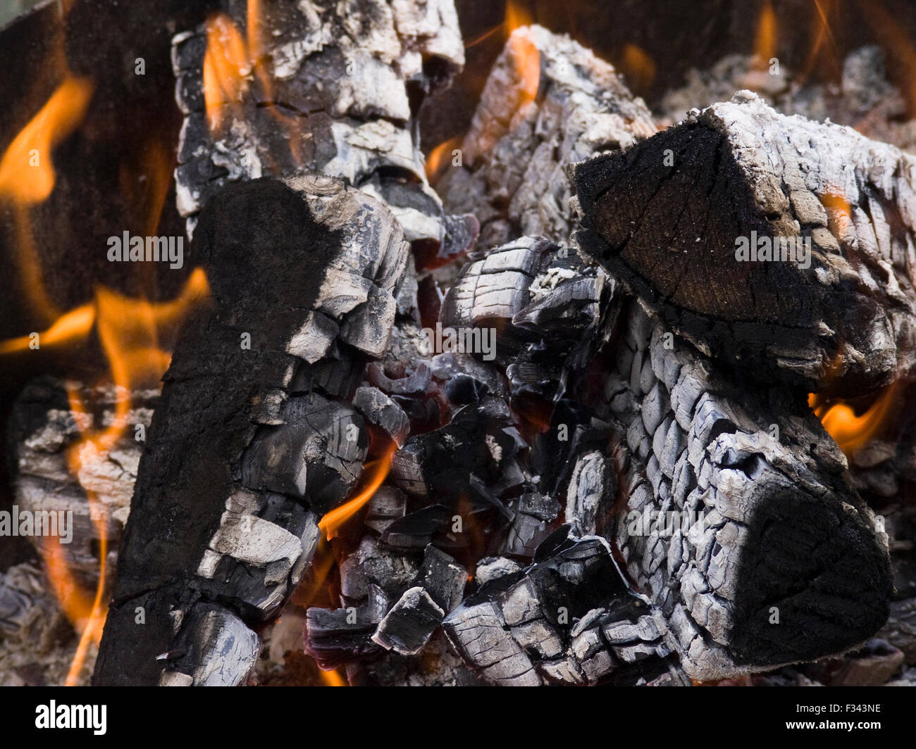 The firewood burning for cooking grill or barbecue Stock Photo Alamy