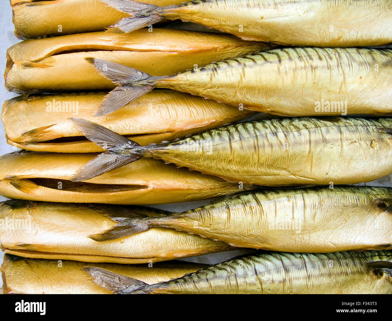 Mackerles A pile of beautiful big mackerels on a counter Stock Photo - Alamy