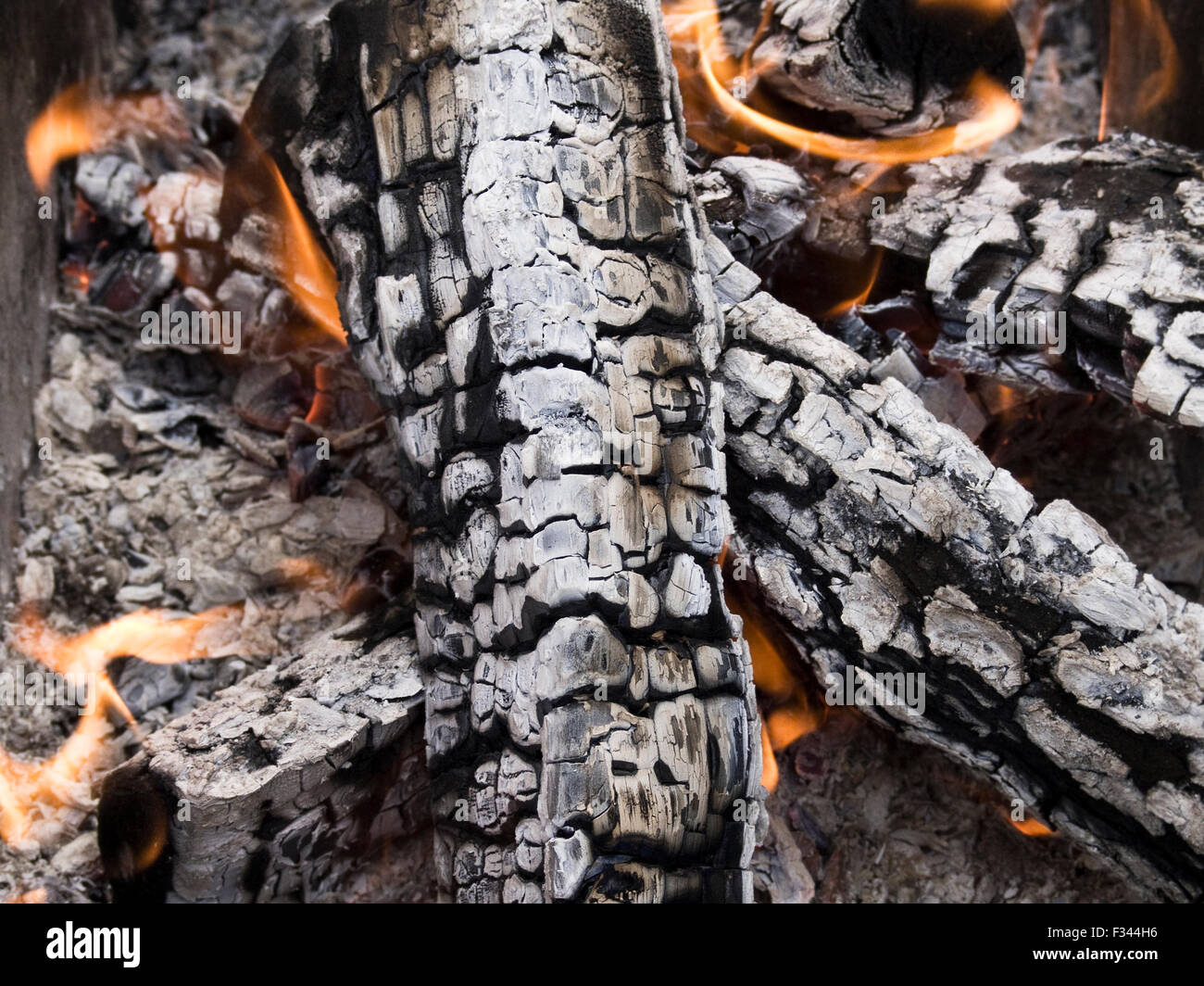 The firewood burning for cooking grill or barbecue Stock Photo Alamy