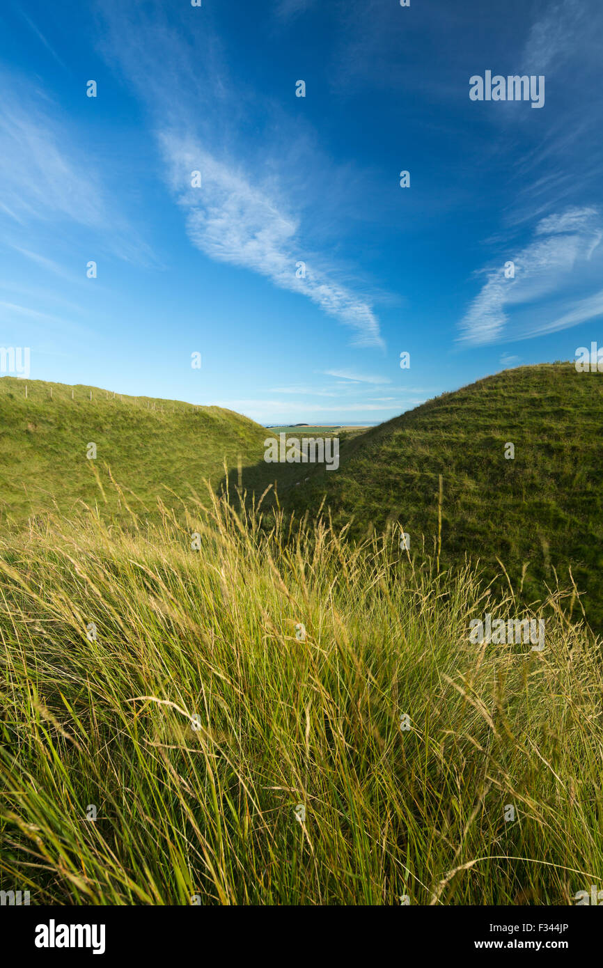 the western ramparts of Maiden Castle, an Iron Age hill fort near Dorchester, Dorset, England, UK Stock Photo